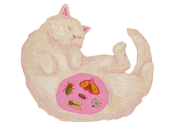 Cheshire Cat